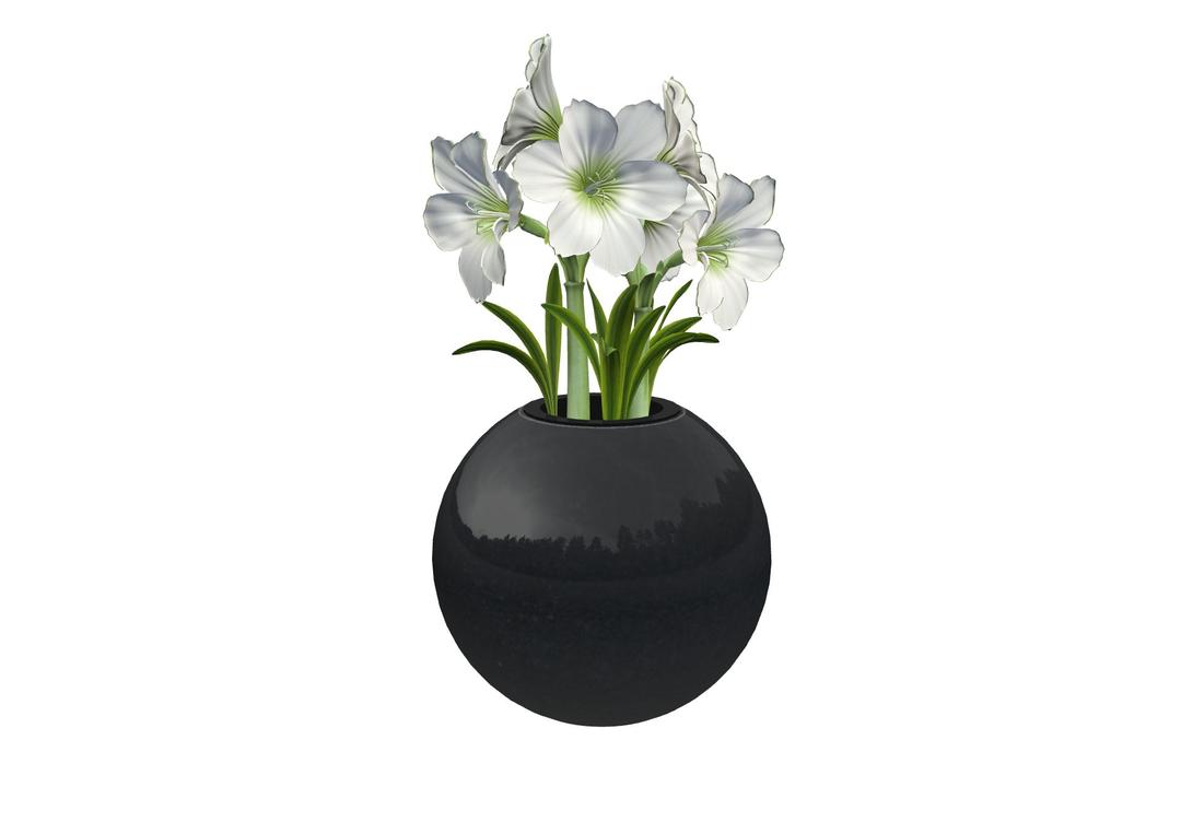 VASE BOULE